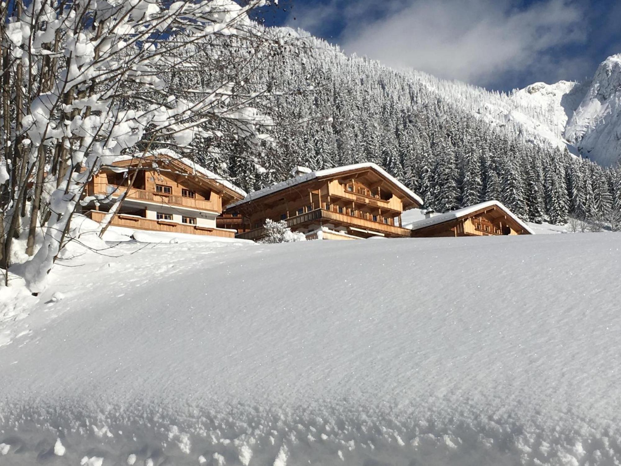 Haus Fernwald Top Tim Und Nynke Alpbach Extérieur photo