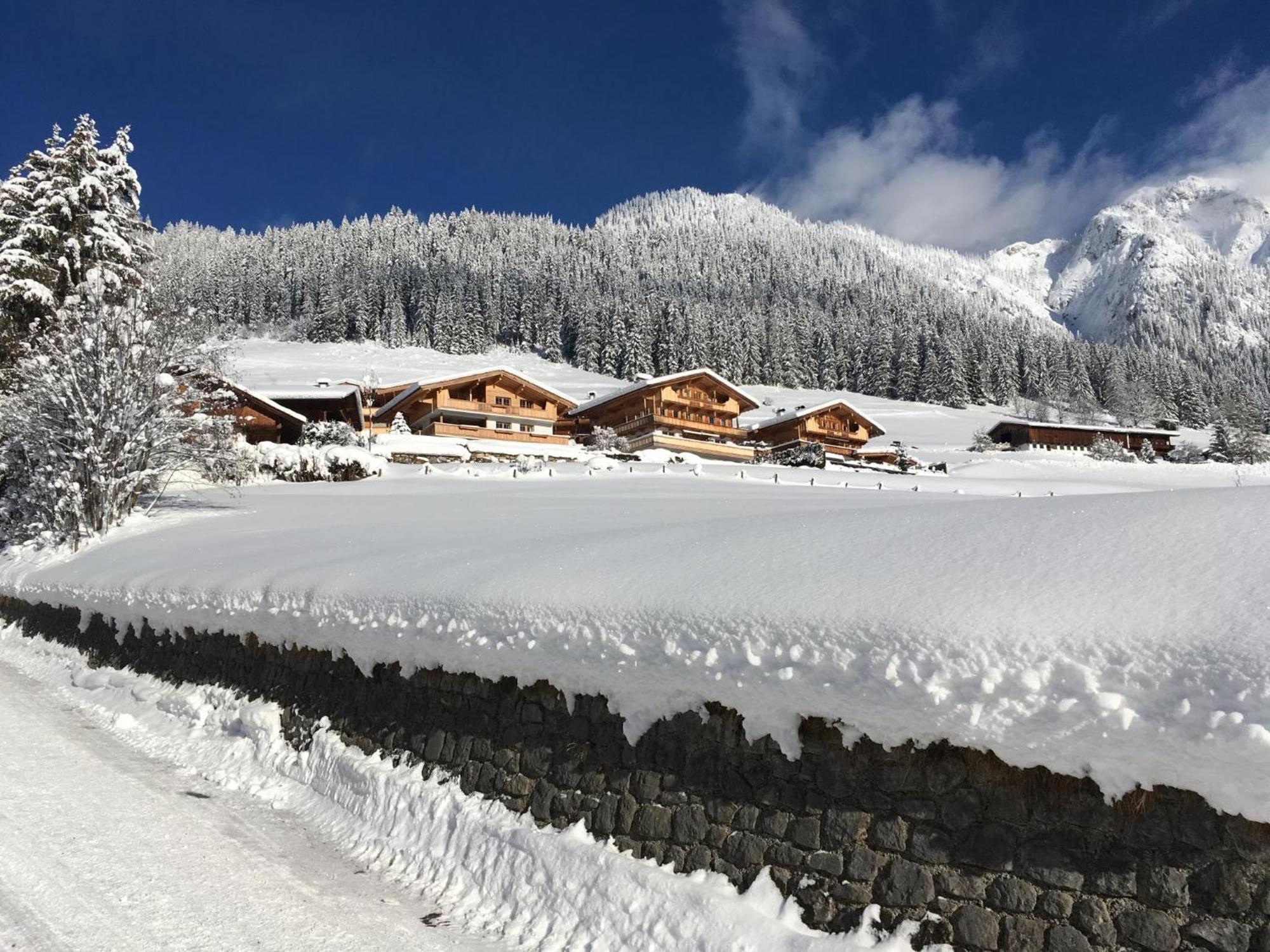 Haus Fernwald Top Tim Und Nynke Alpbach Extérieur photo