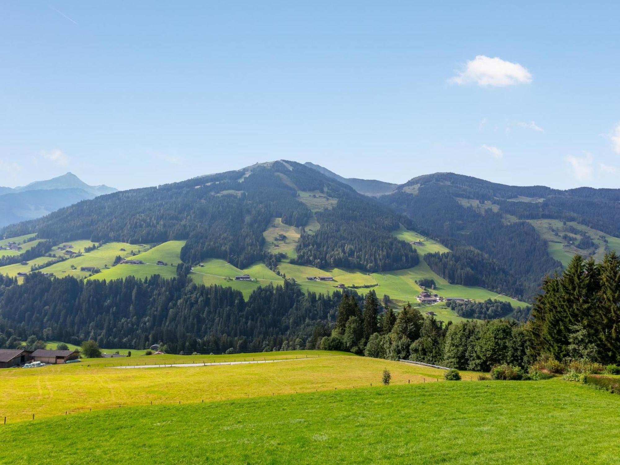 Haus Fernwald Top Tim Und Nynke Alpbach Extérieur photo